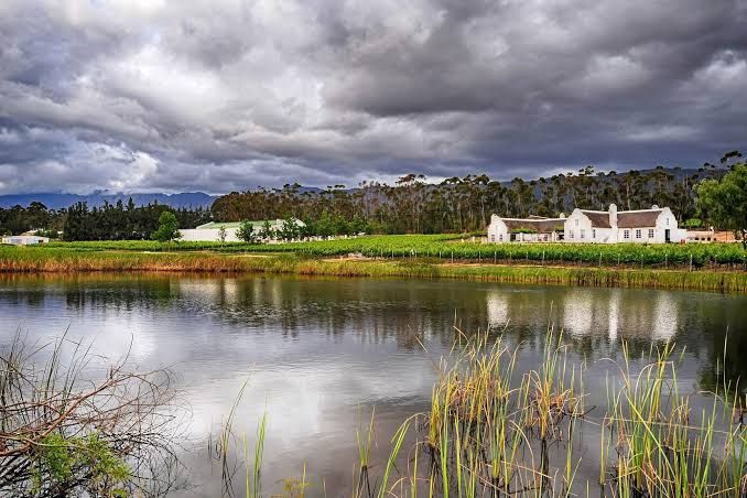  Rijks Wine Estate and Hotel. Tulbagh.