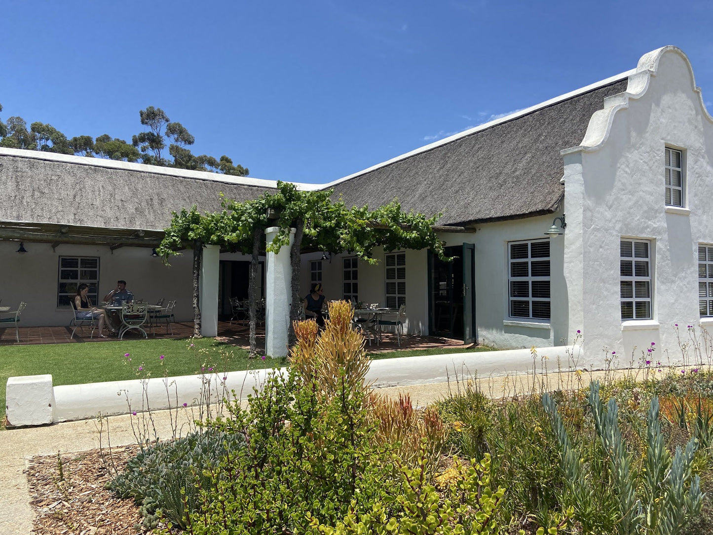  Rijks Wine Estate and Hotel. Tulbagh.