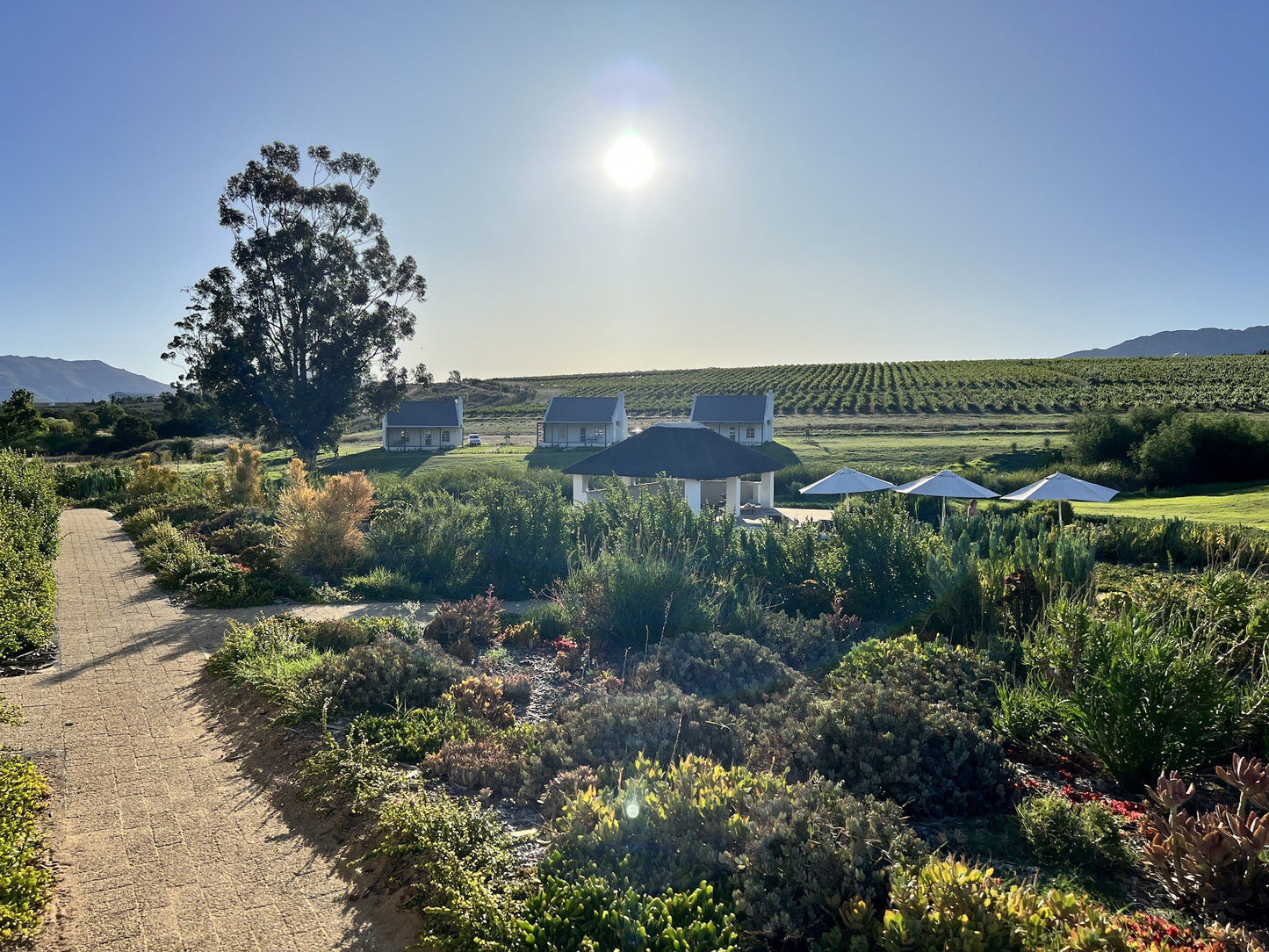  Rijks Wine Estate and Hotel. Tulbagh.