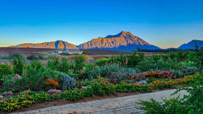  Rijks Wine Estate and Hotel. Tulbagh.