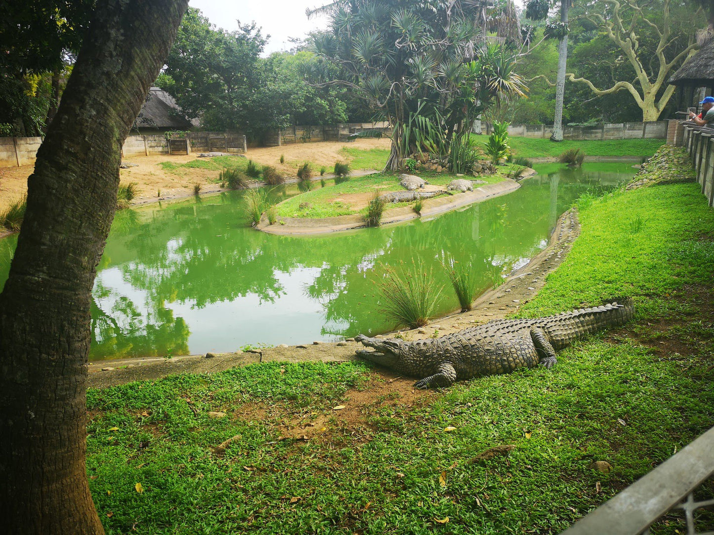  Riverbend Crocodile Farm