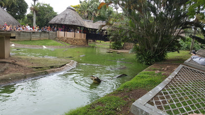  Riverbend Crocodile Farm