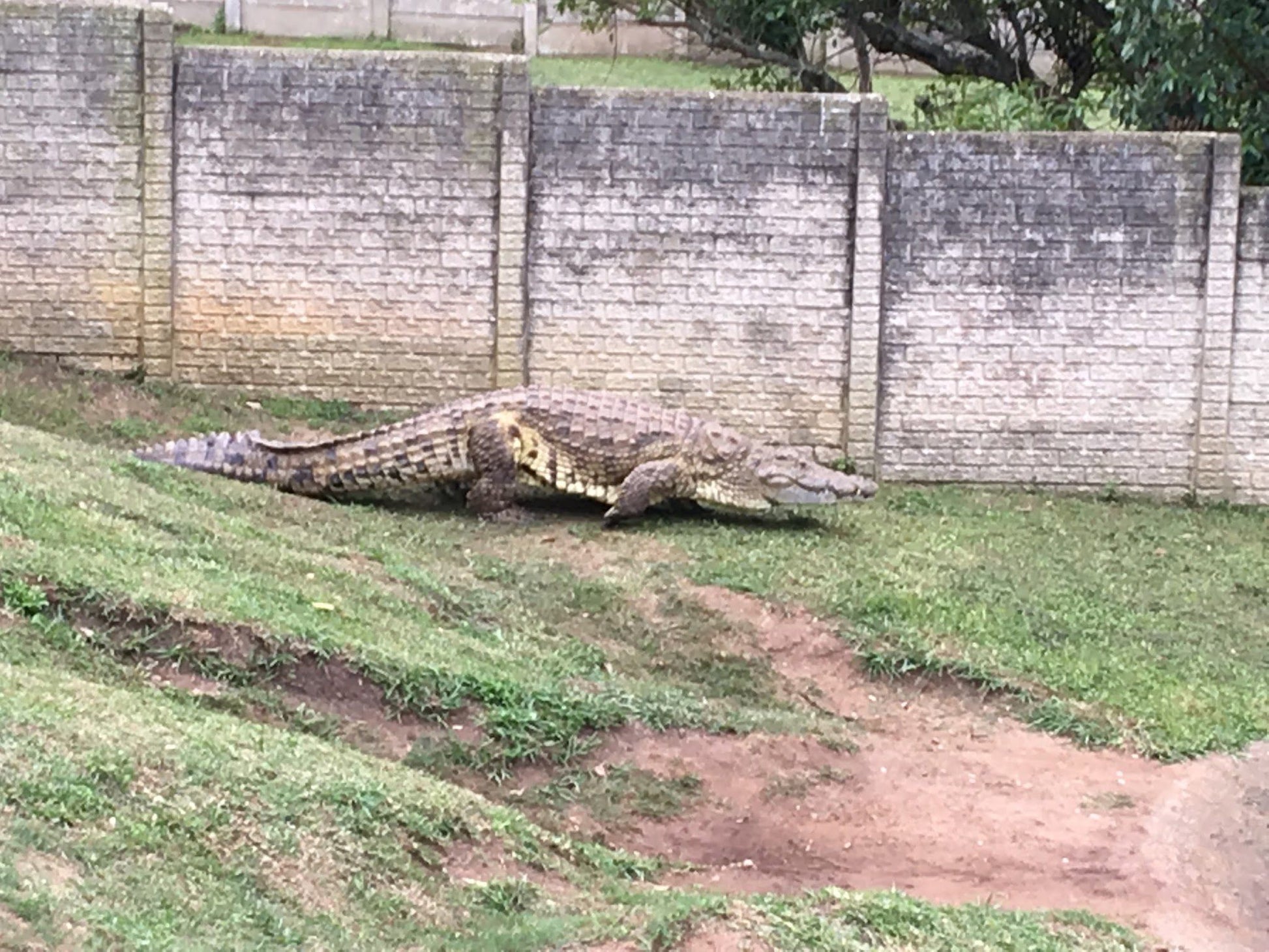  Riverbend Crocodile Farm