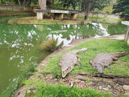  Riverbend Crocodile Farm