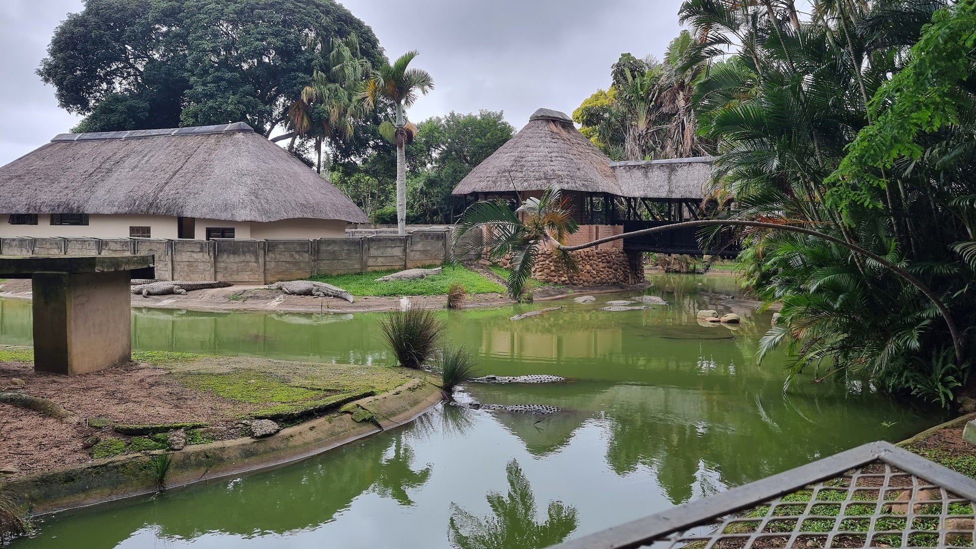  Riverbend Crocodile Farm