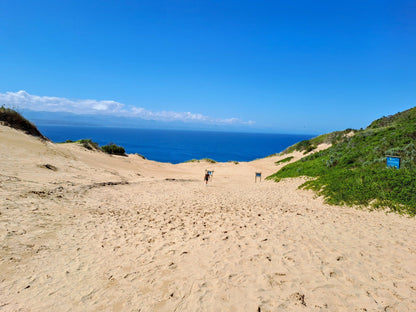  Robberg Nature Reserve