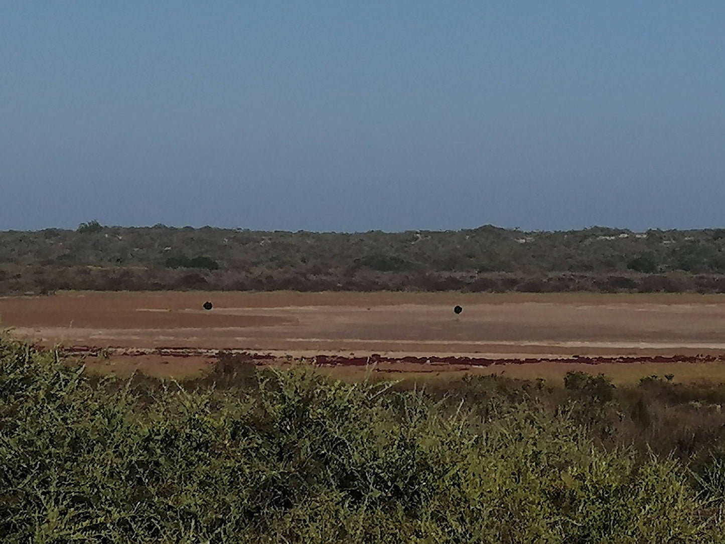  Rocherpan Nature Reserve (CapeNature)