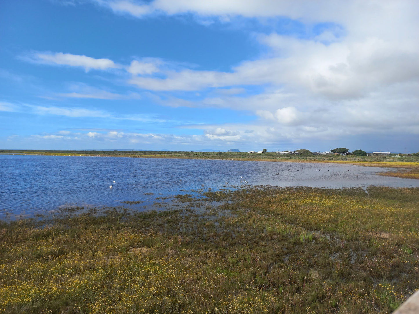  Rocherpan Nature Reserve (CapeNature)