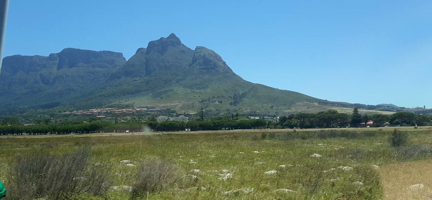  Rondebosch Common Conservation Area