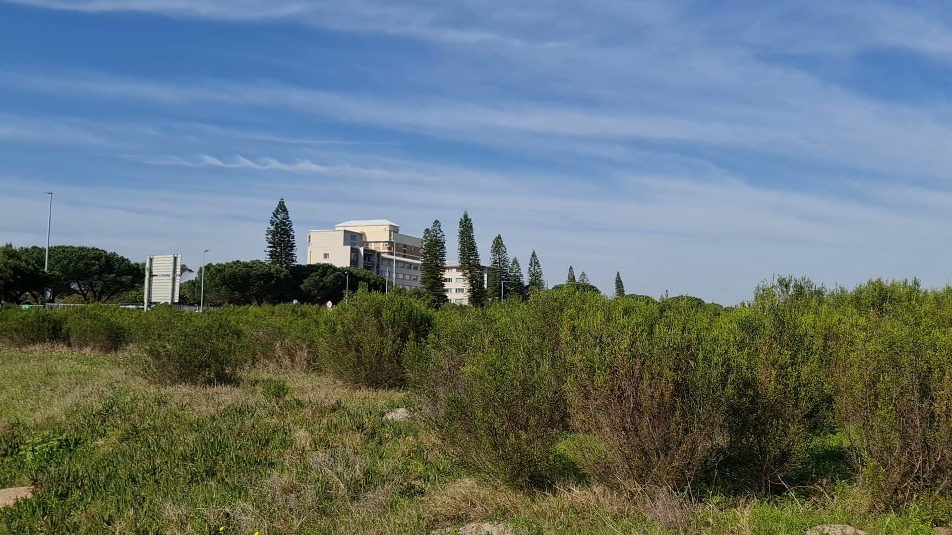  Rondebosch Common Conservation Area