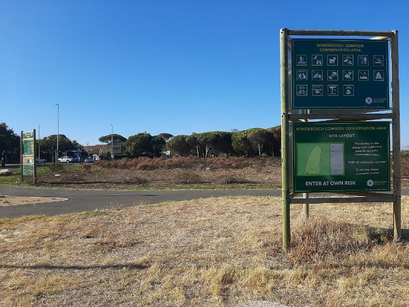  Rondebosch Common Conservation Area