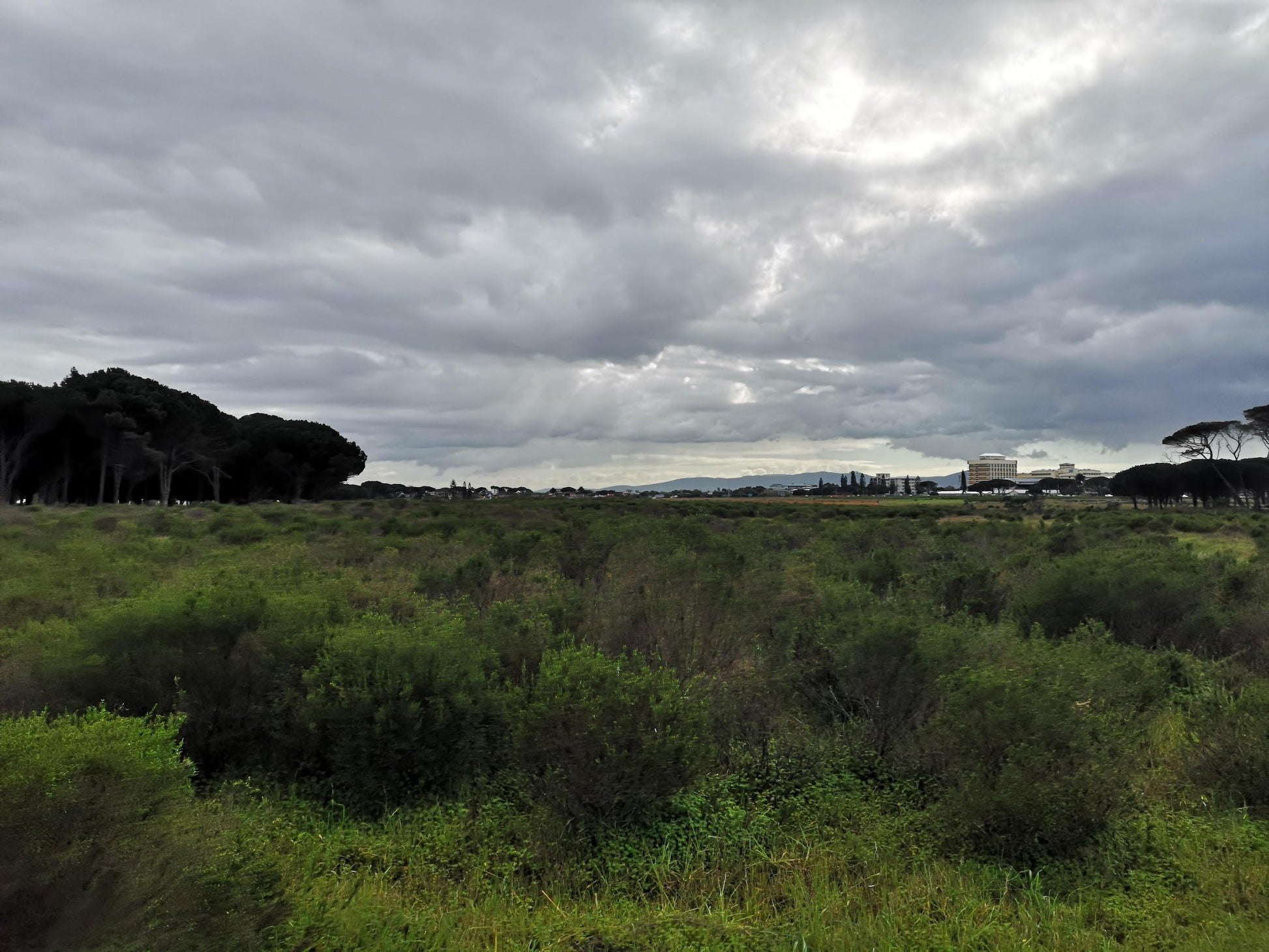  Rondebosch Common Conservation Area