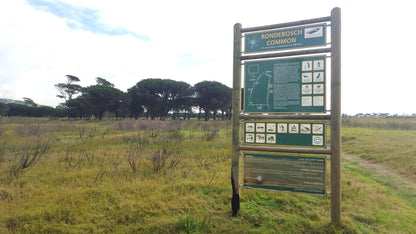  Rondebosch Common Conservation Area