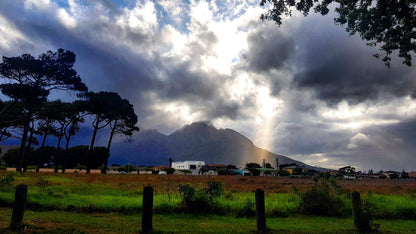  Rondebosch East Common