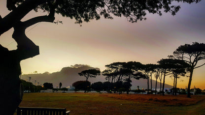  Rondebosch East Common