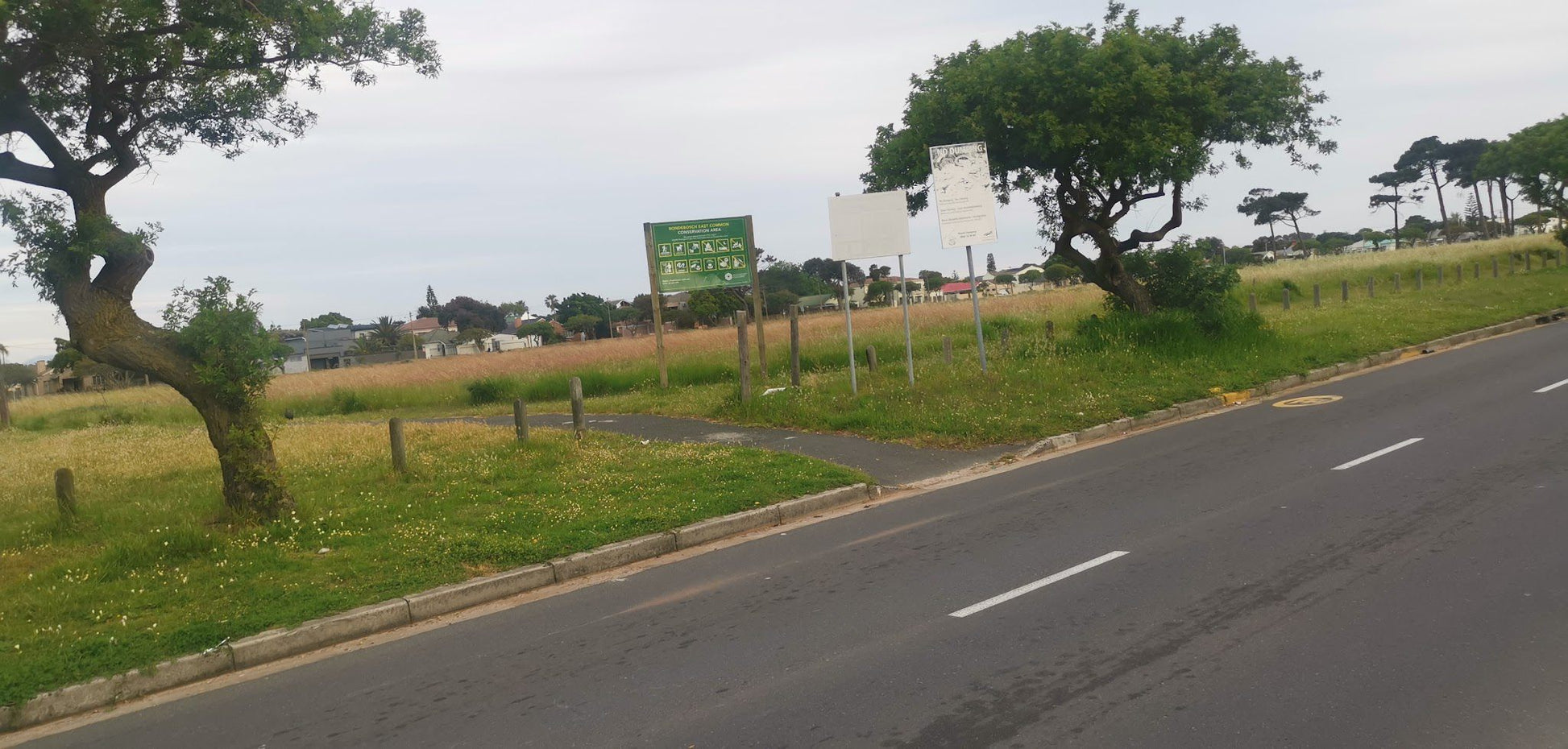  Rondebosch East Common