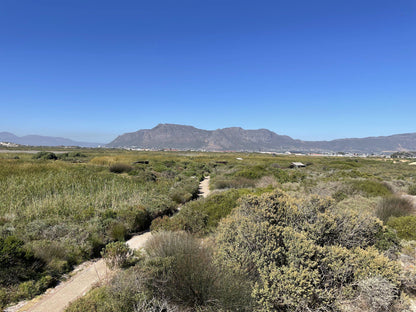  Rondevlei Nature Reserve