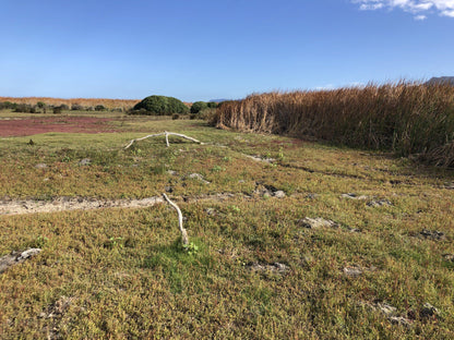  Rondevlei Nature Reserve