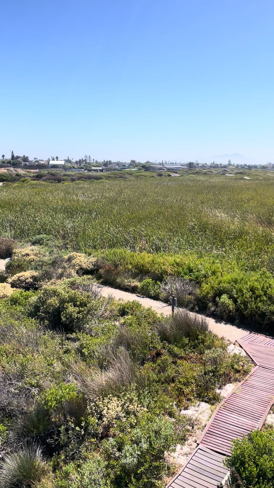  Rondevlei Nature Reserve