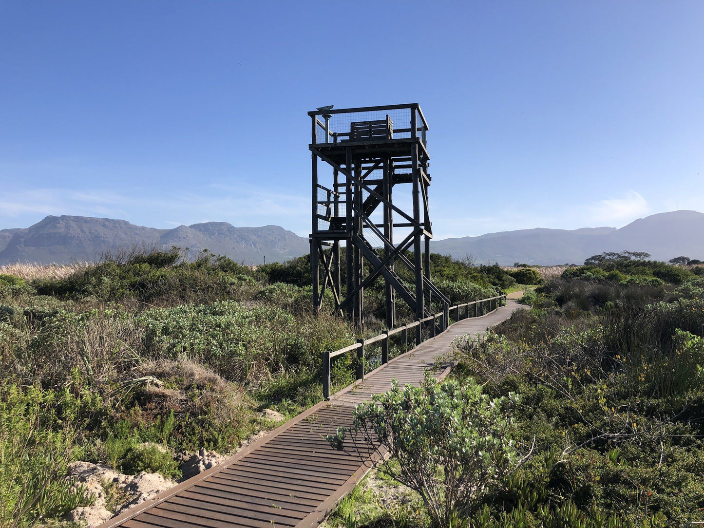  Rondevlei Nature Reserve