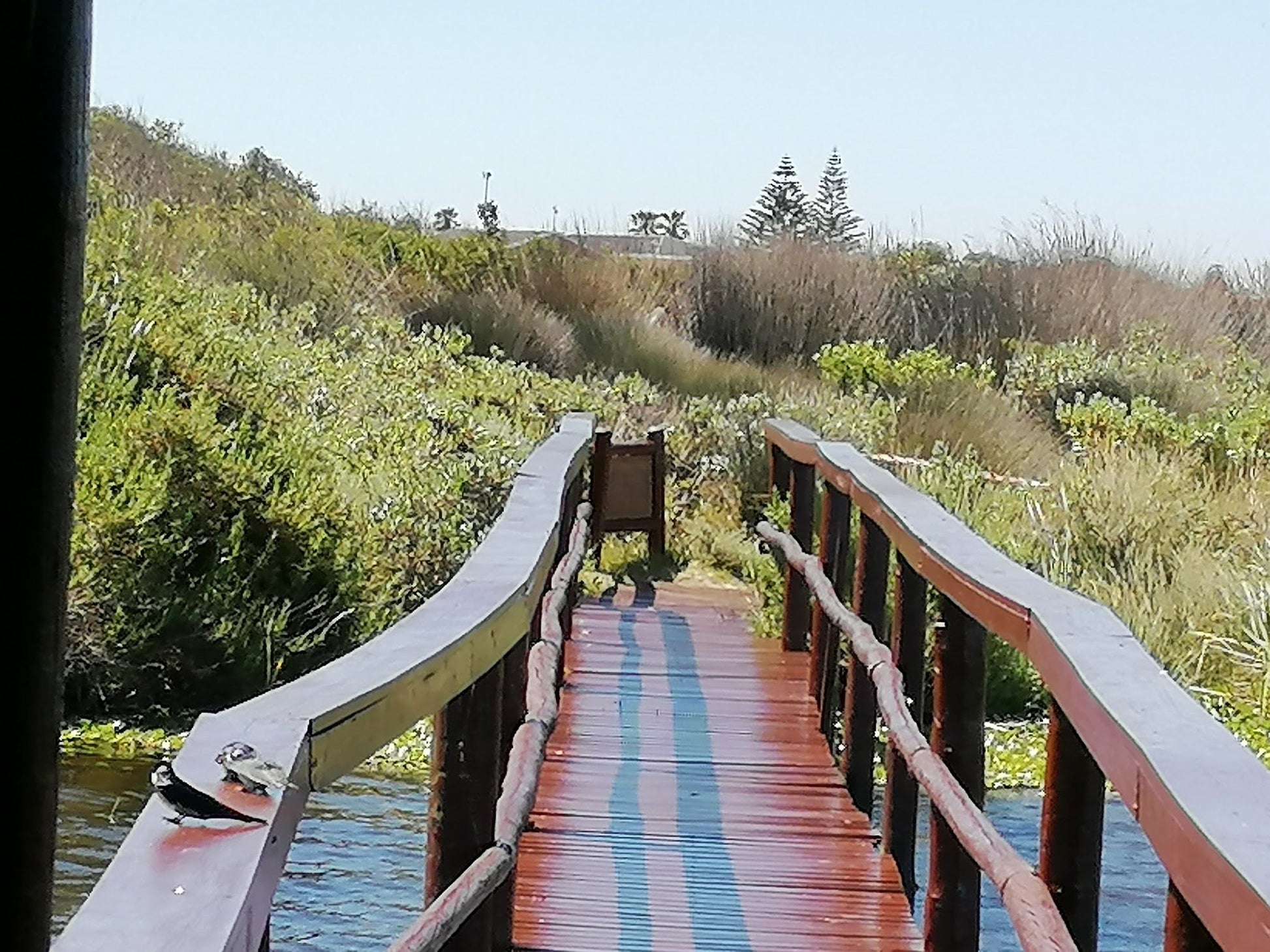  Rondevlei Nature Reserve