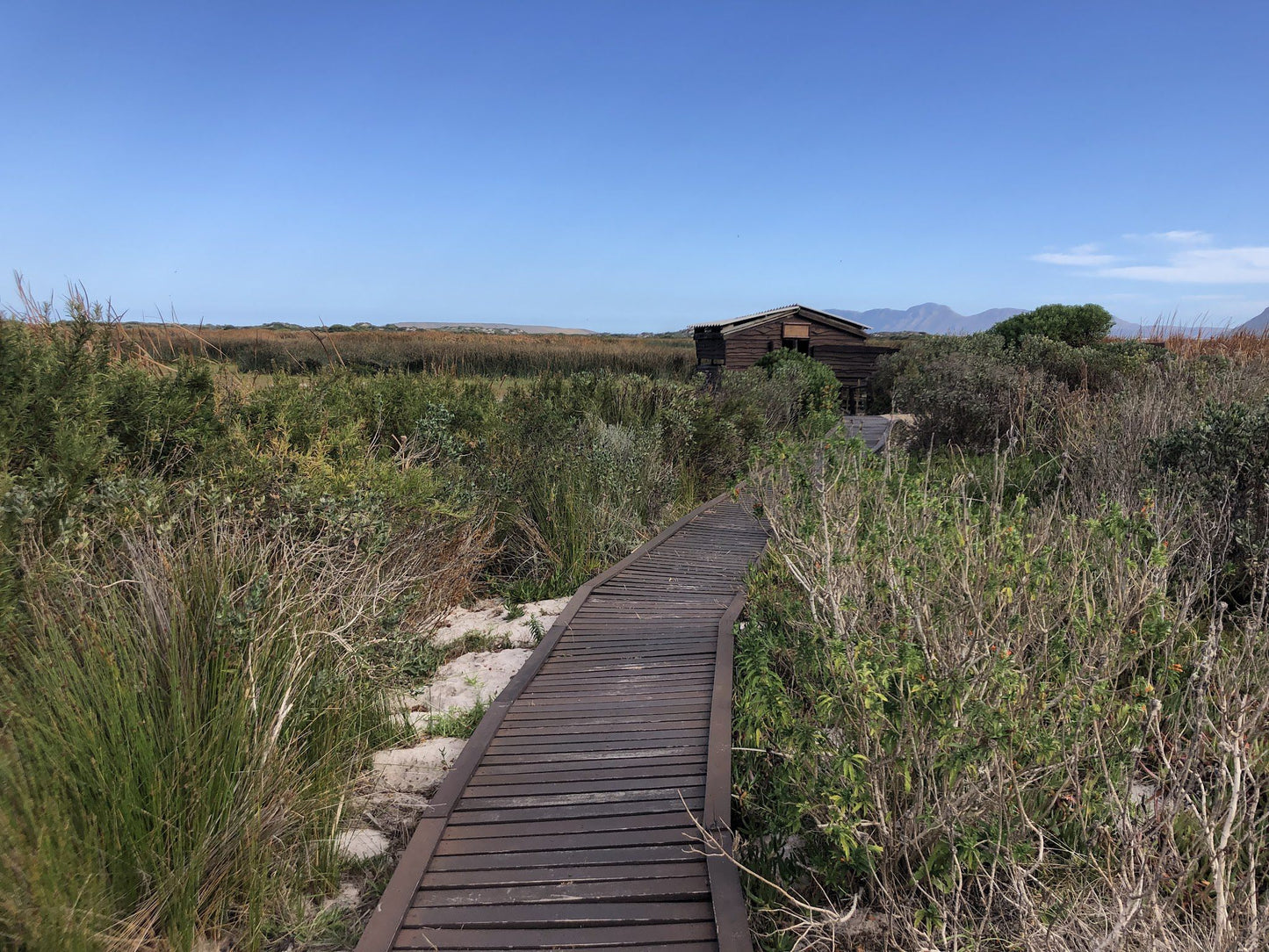  Rondevlei Nature Reserve