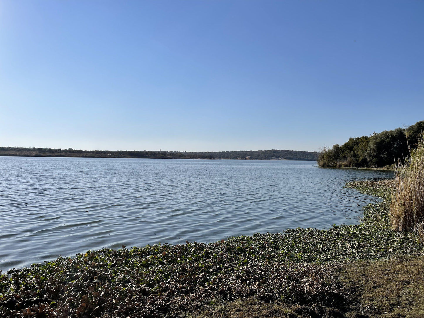  Roodeplaat Dam Provincial Nature Reserve