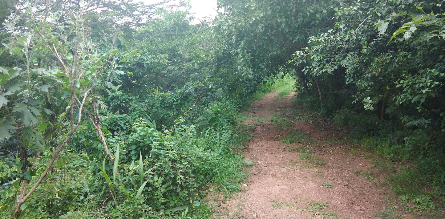  Roosfontein Nature Reserve