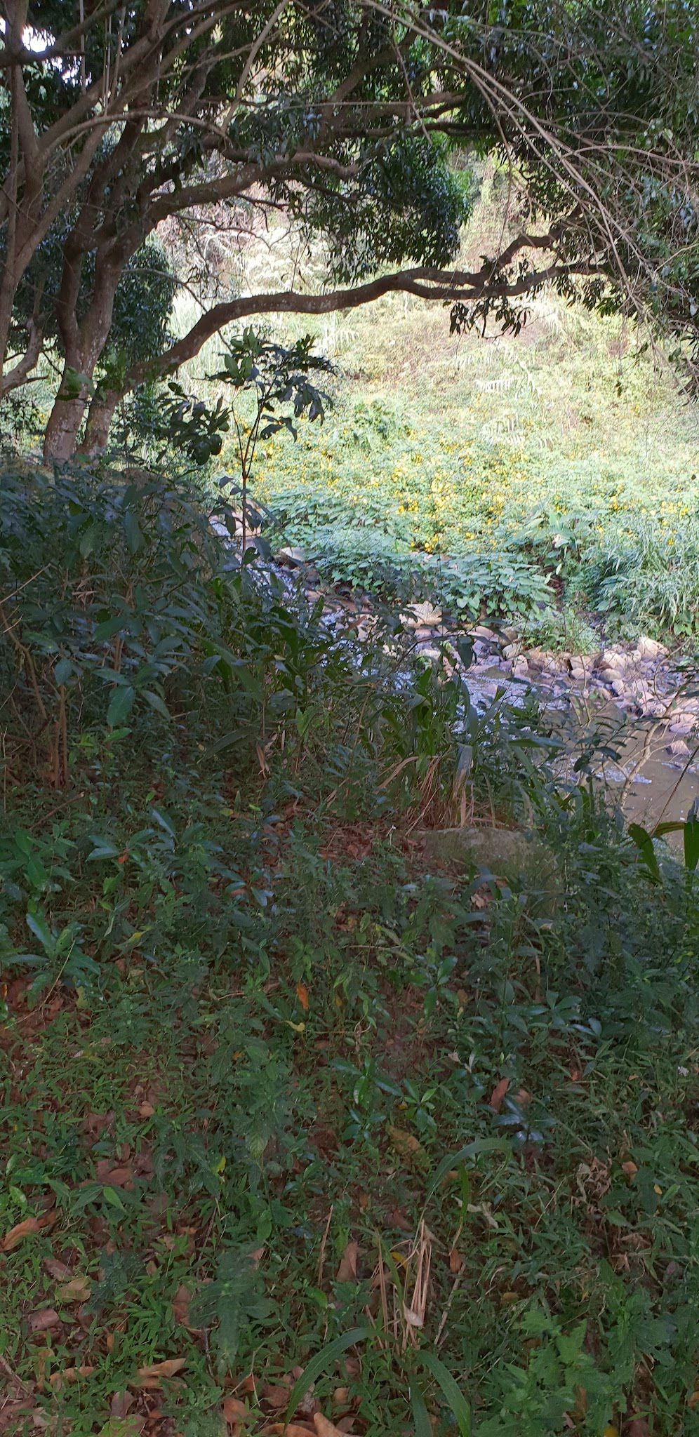  Roosfontein Nature Reserve