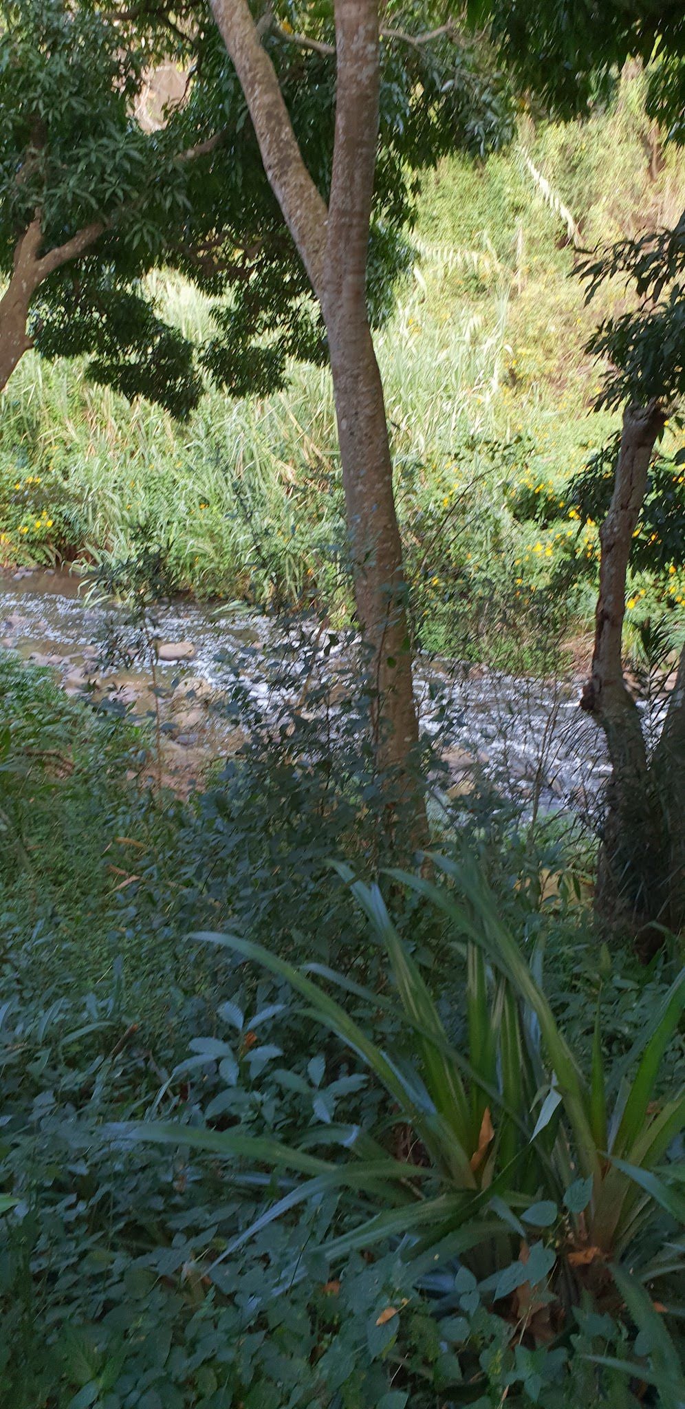  Roosfontein Nature Reserve