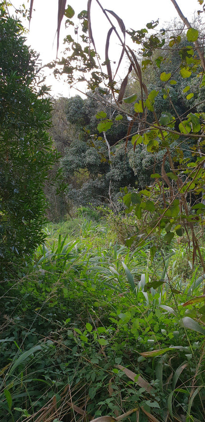  Roosfontein Nature Reserve