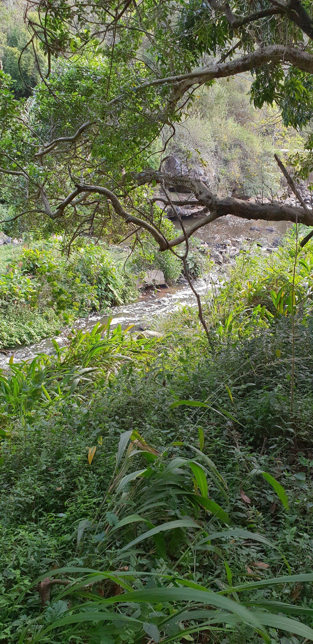  Roosfontein Nature Reserve