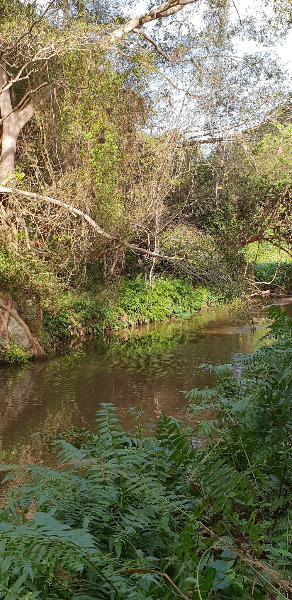  Roosfontein Nature Reserve