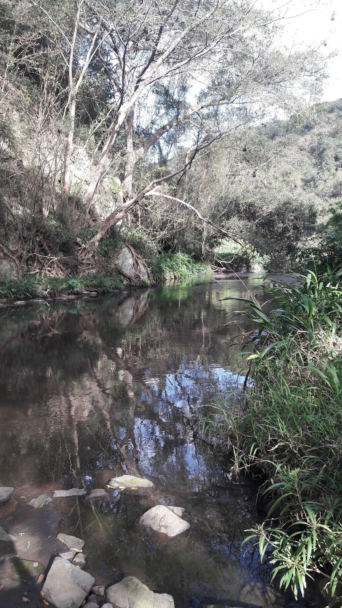  Roosfontein Nature Reserve