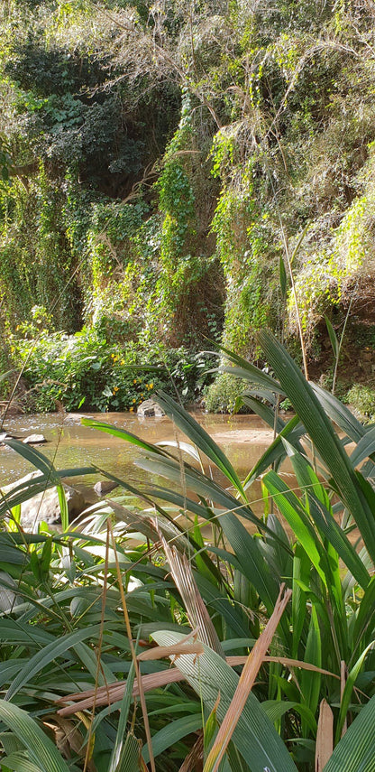  Roosfontein Nature Reserve