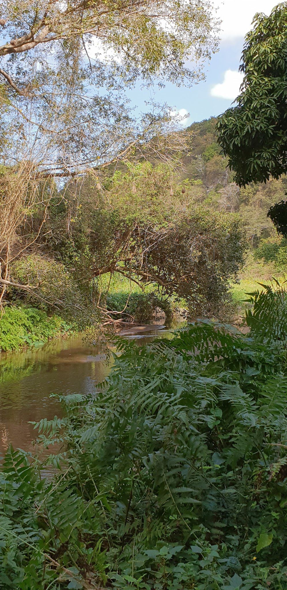  Roosfontein Nature Reserve