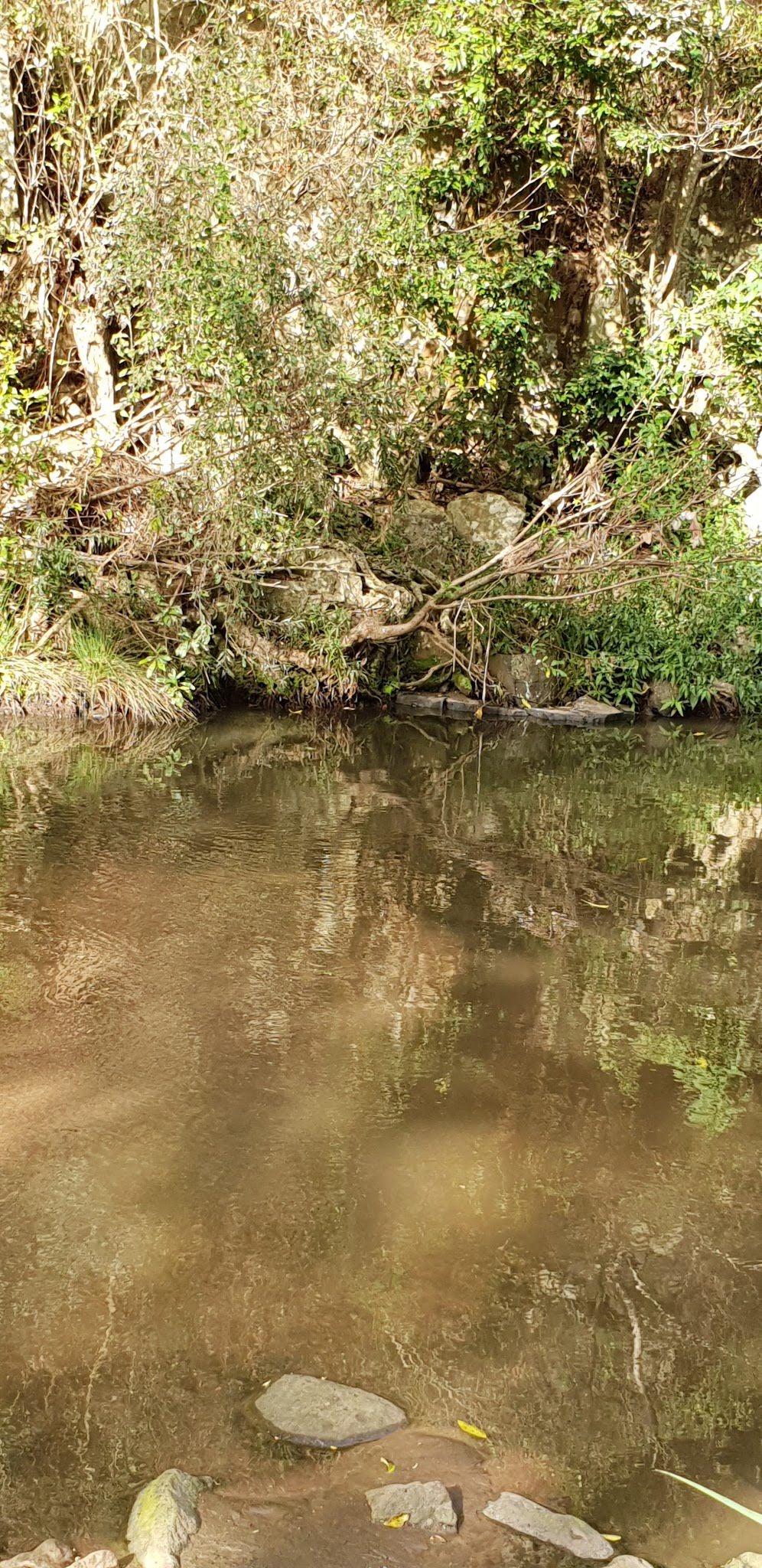  Roosfontein Nature Reserve