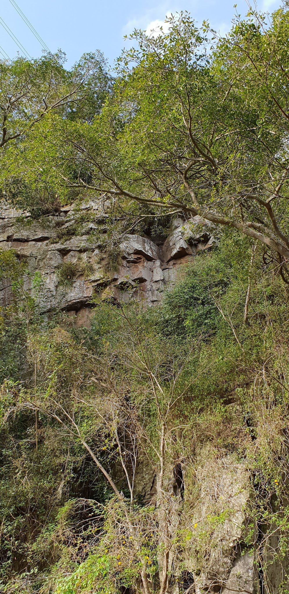  Roosfontein Nature Reserve