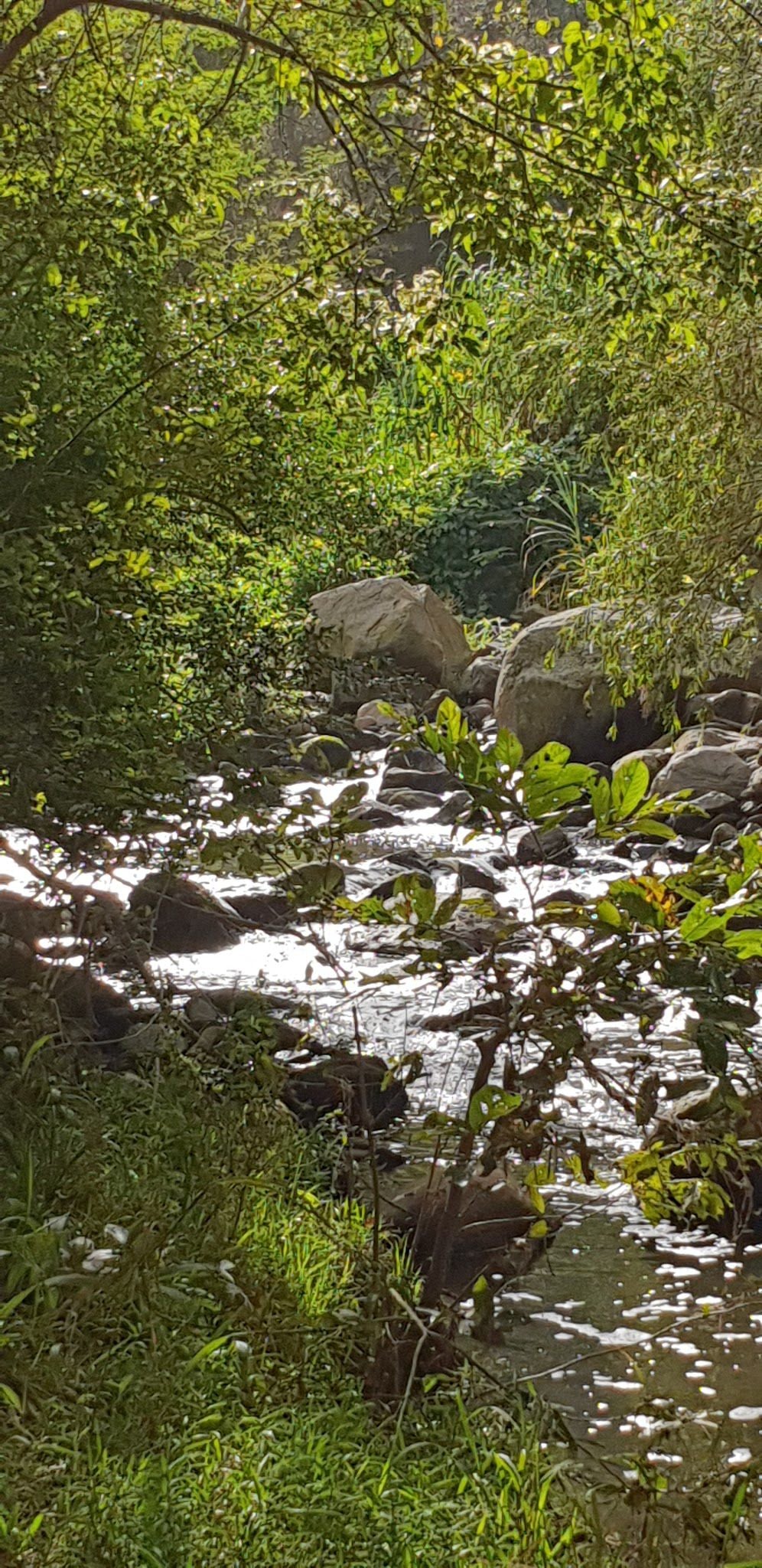  Roosfontein Nature Reserve