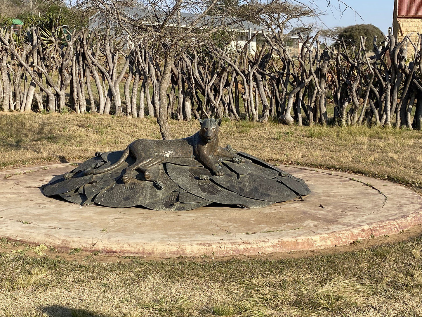  Rorke's Drift Museum