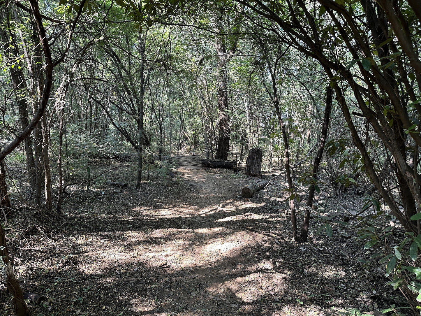 Rosemary Hill Mountain Bike Trails