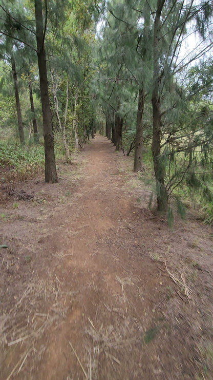 Rosemary Hill Mountain Bike Trails