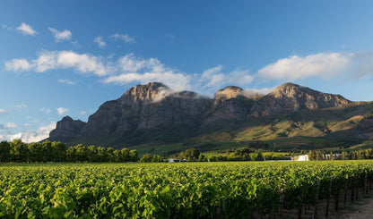  Rupert & Rothschild Vignerons