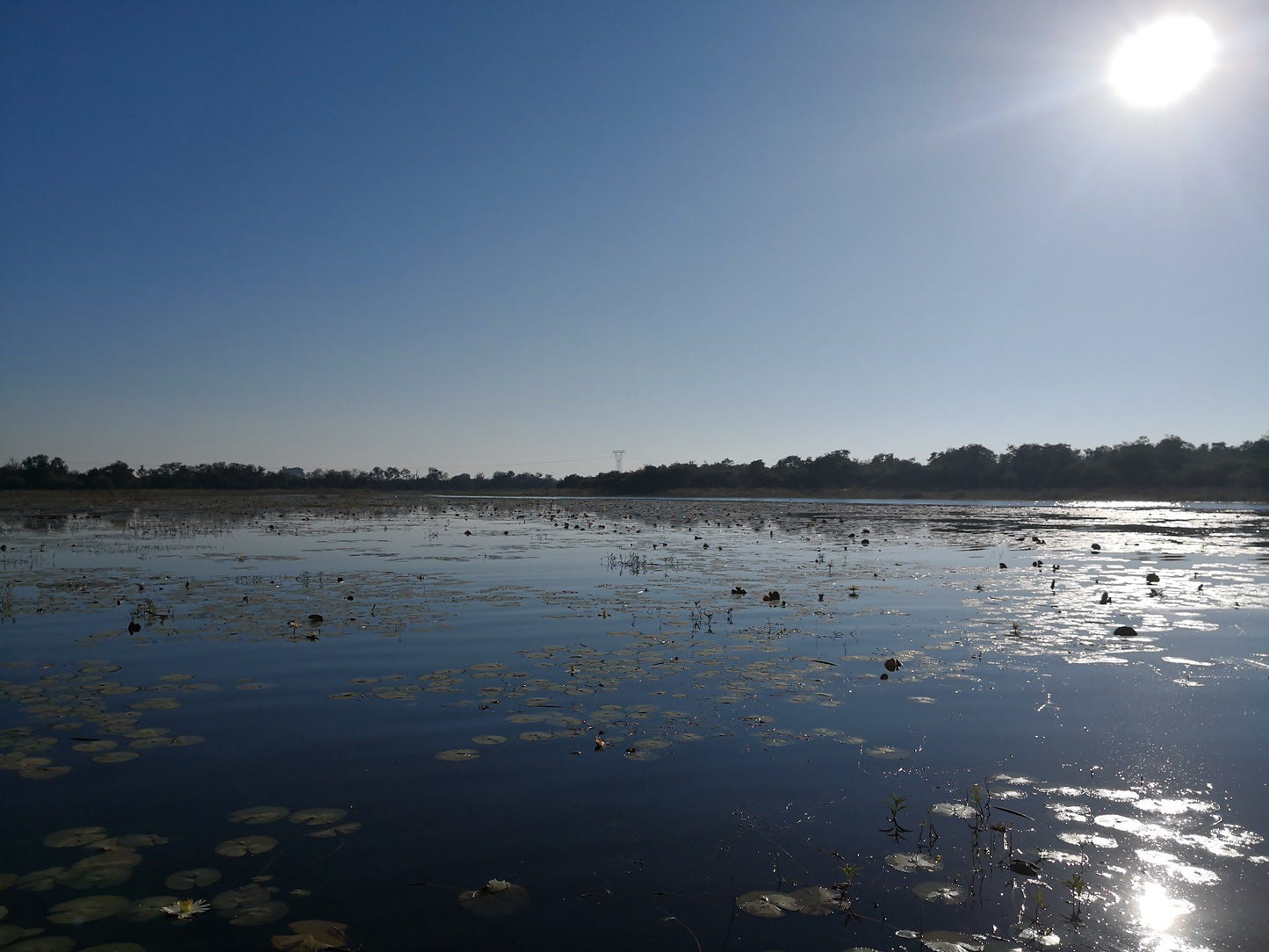  Rust De Winter Dam