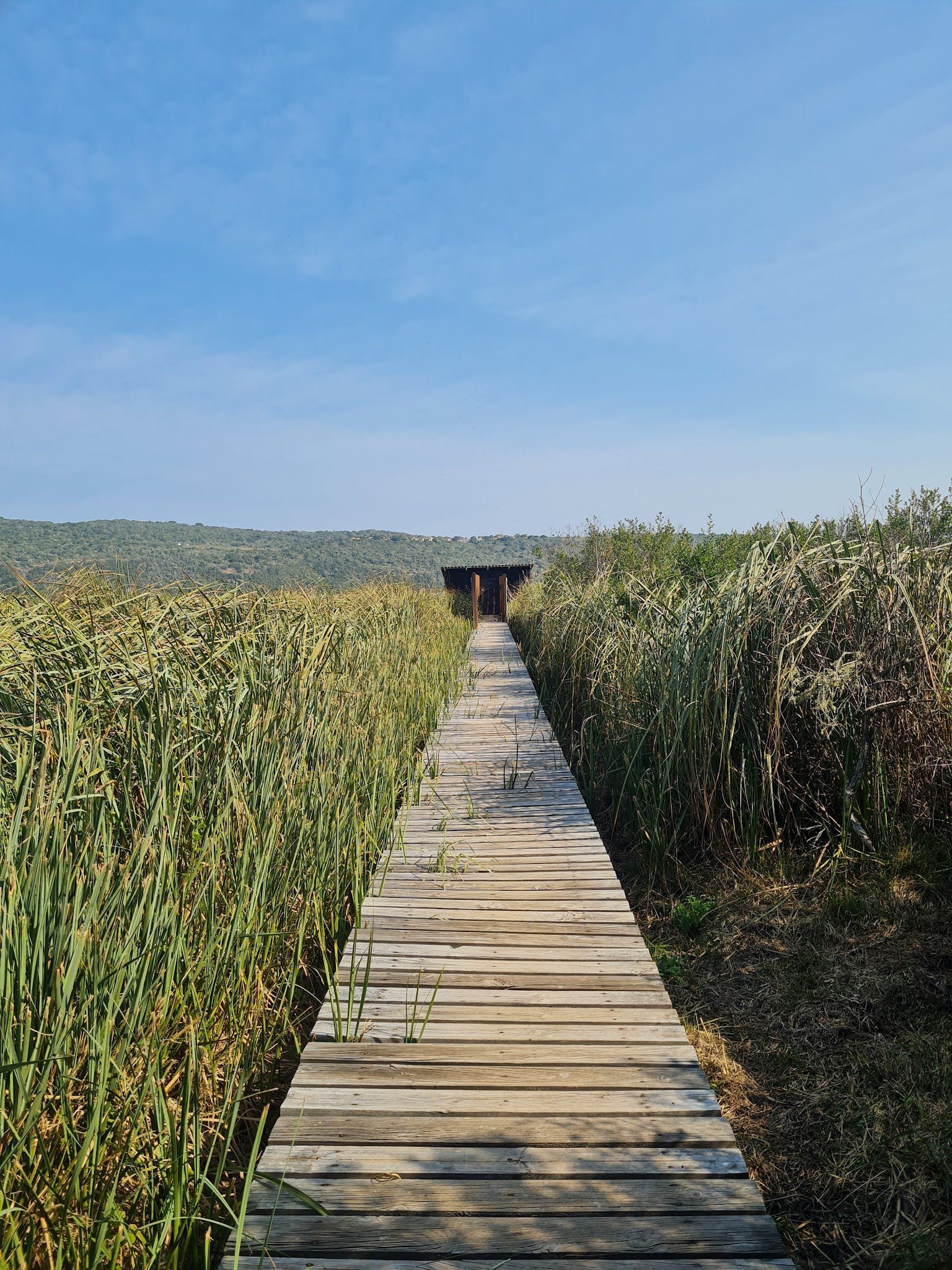  SANParks Rondevlei Bird Hide