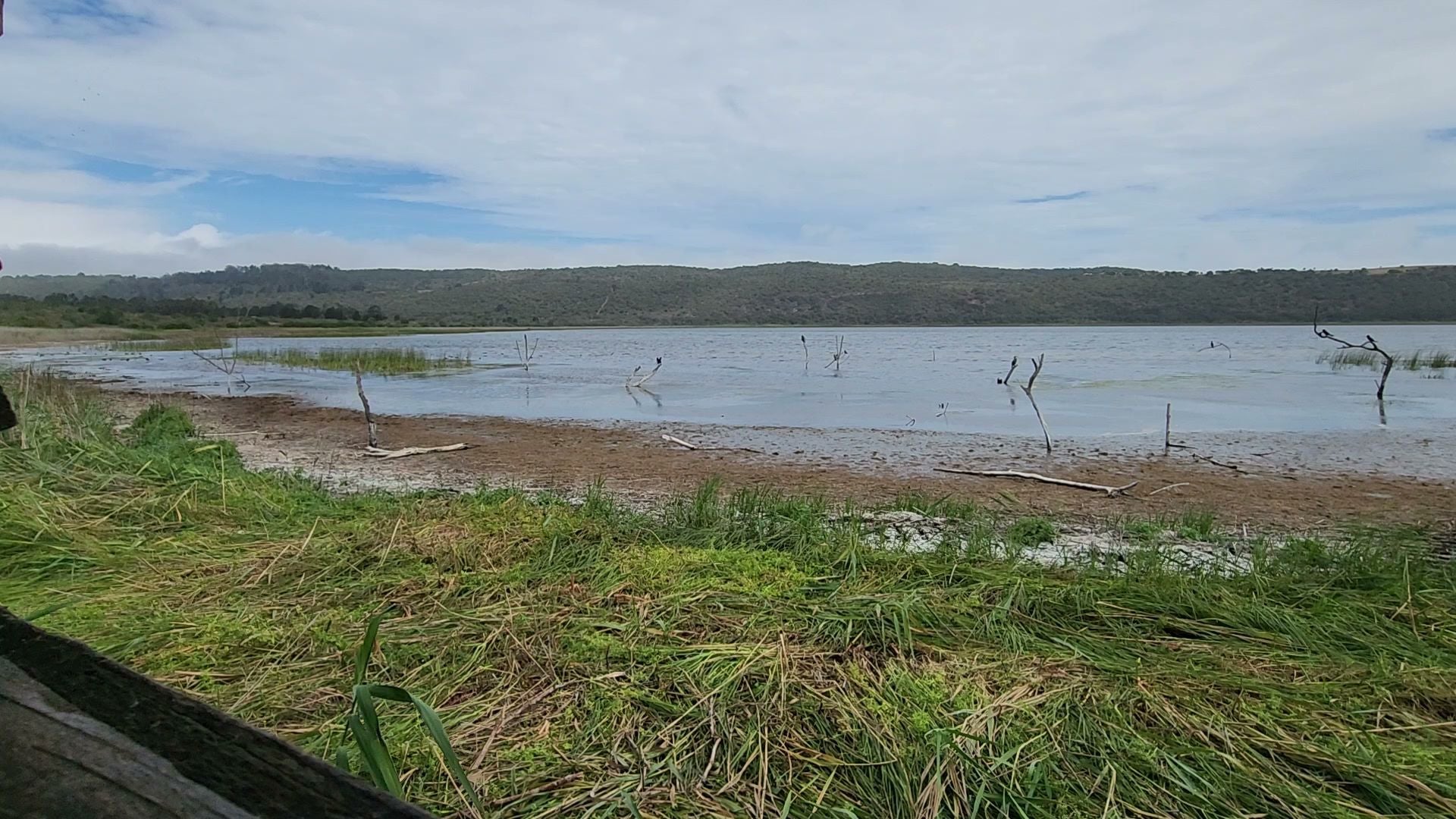  SANParks Rondevlei Bird Hide