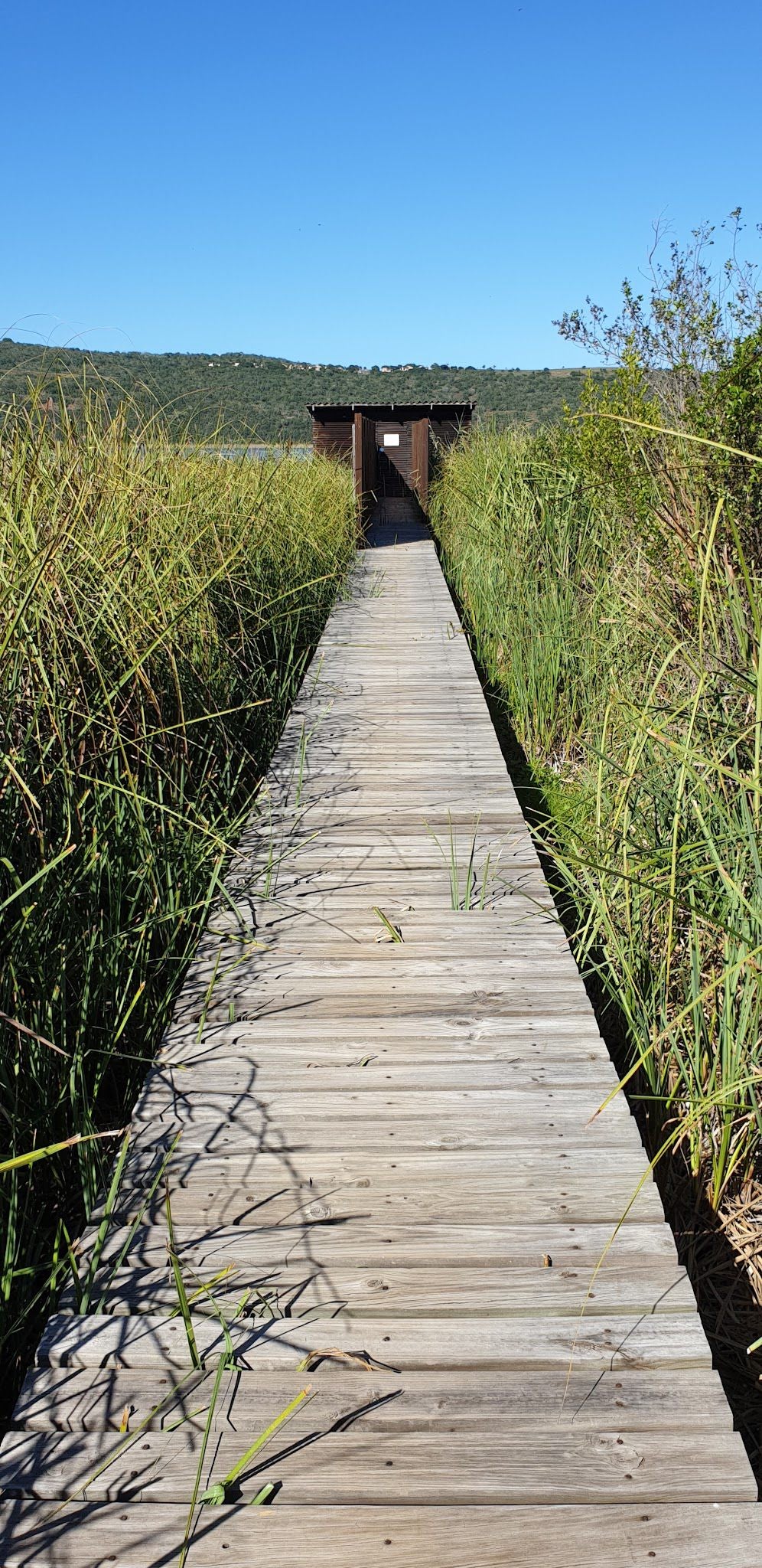  SANParks Rondevlei Bird Hide