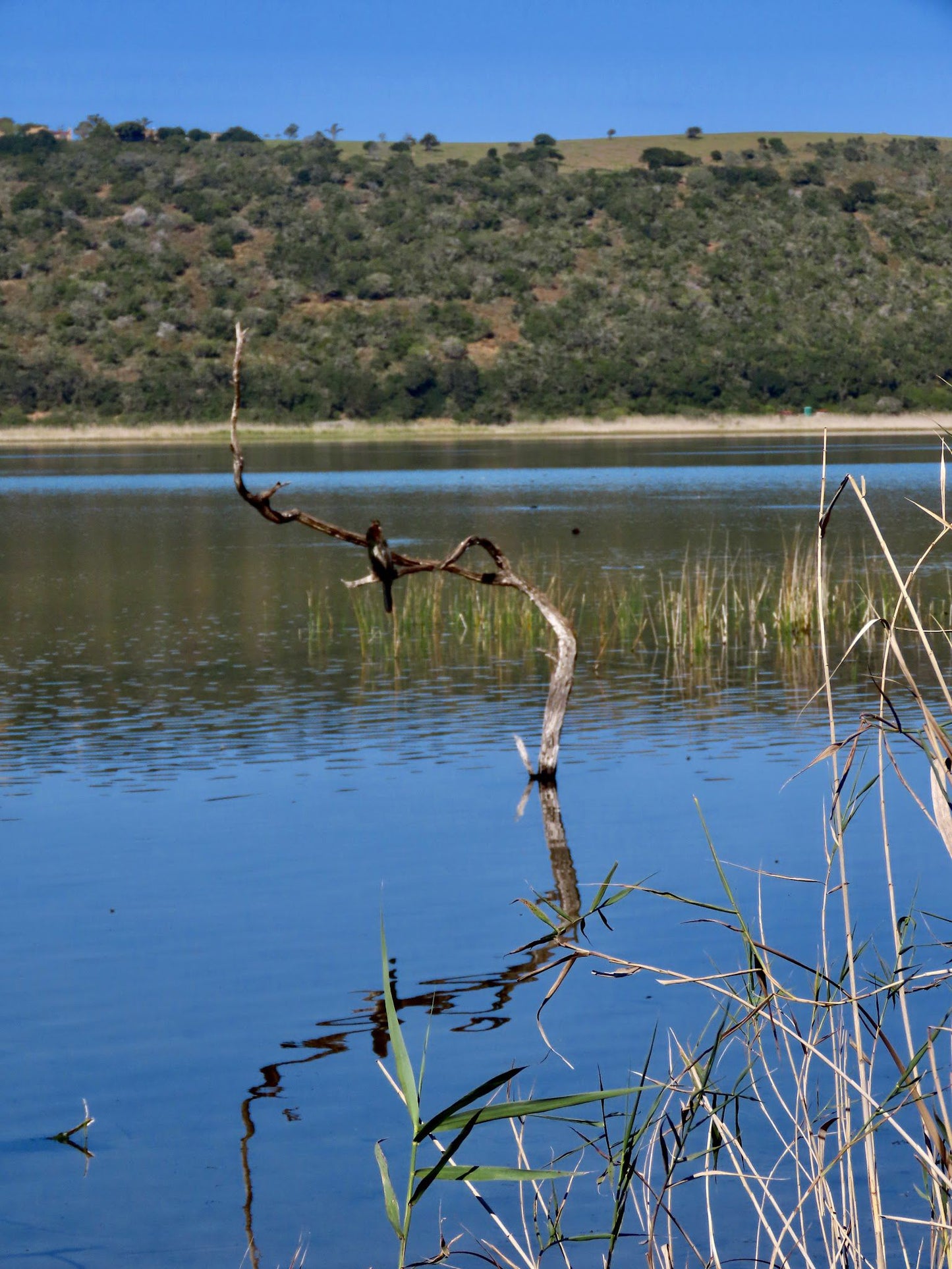  SANParks Rondevlei Bird Hide