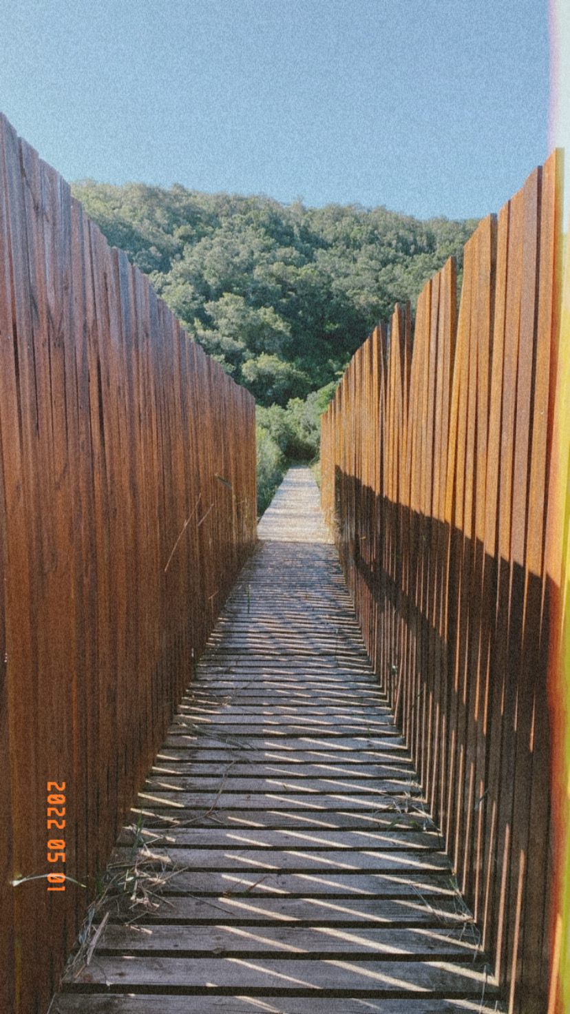  SANParks Rondevlei Bird Hide