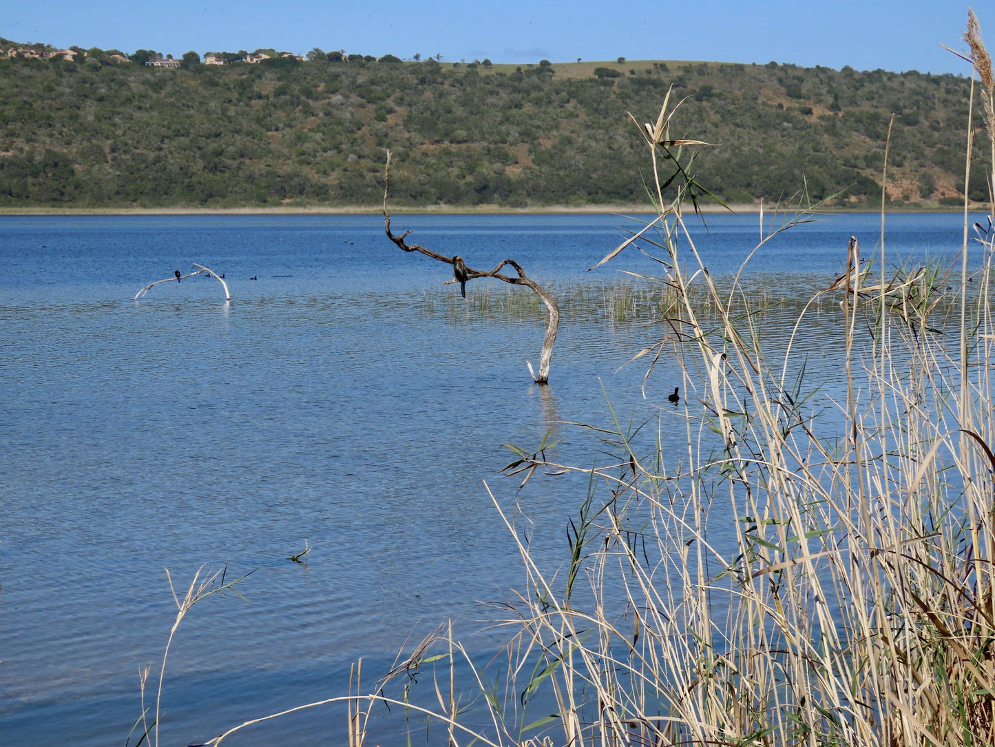  SANParks Rondevlei Bird Hide